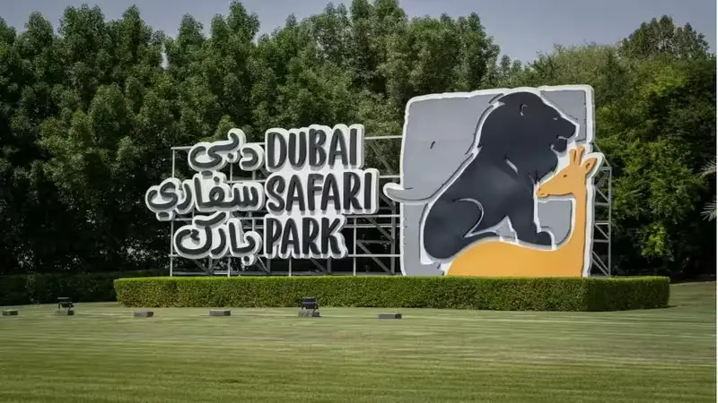 Dubai Safari Park: Complete Guide to Tickets, Animals, Zones, Timings & Visitor Tips